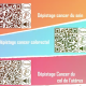 Illustration des QR codes pour l'accessibilité des courriers d'invitation pour le dépistage du cancer