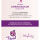 Visuel de présentation de la visio Programme ambassadeurs J'EVAL